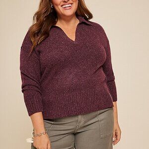 Cozier Than Cashmere Collared Sweater -4x